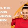 Feel this Song Meaning In Hindi (फील द सॉन्ग का मतलब क्या है?)